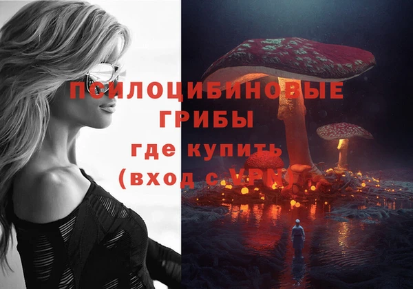 бутират Медвежьегорск