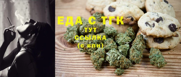 гидра Медногорск