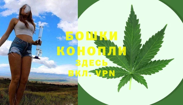 молекула духа Михайловка