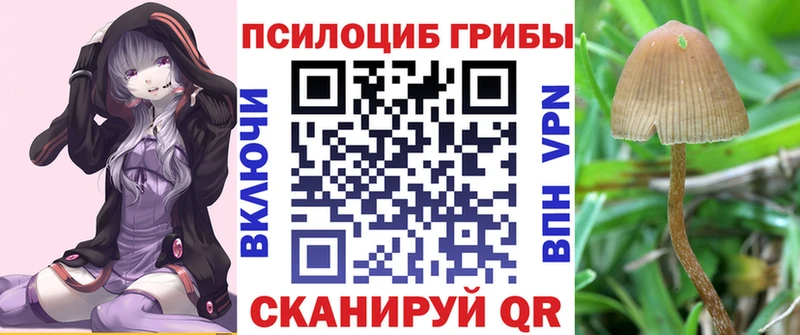 Купить закладки  Черепаново  Псилоцибиновые грибы мицелий 